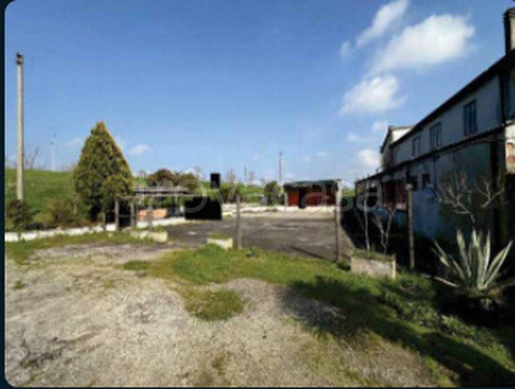 immagine annuncio 6 di 12