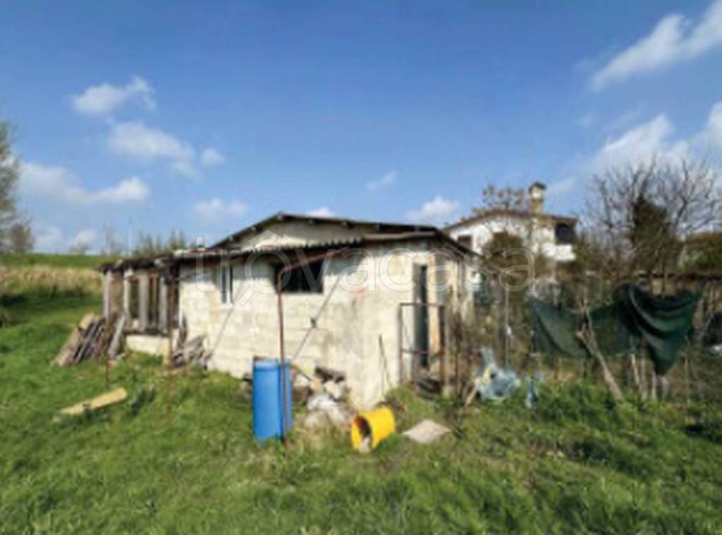 immagine annuncio 7 di 12