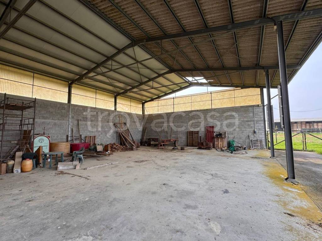 immagine annuncio 2 di 6