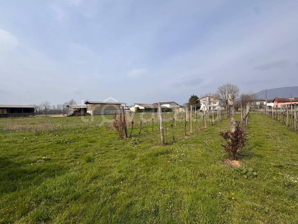 immagine annuncio 3 di 6