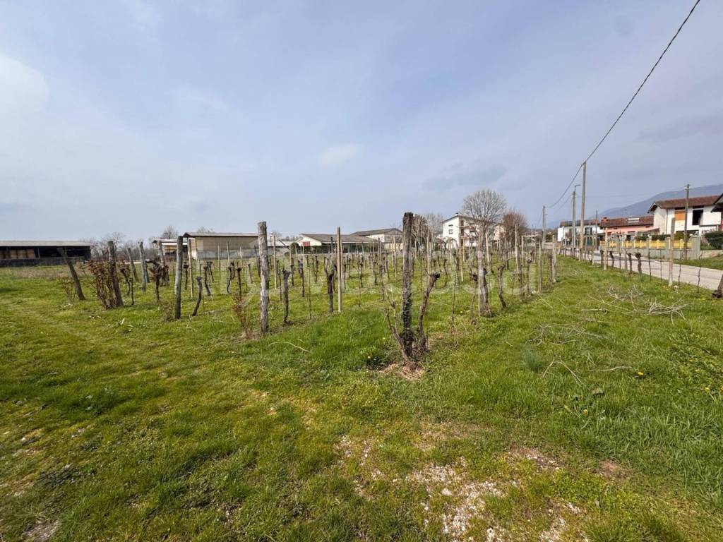 immagine annuncio 5 di 6