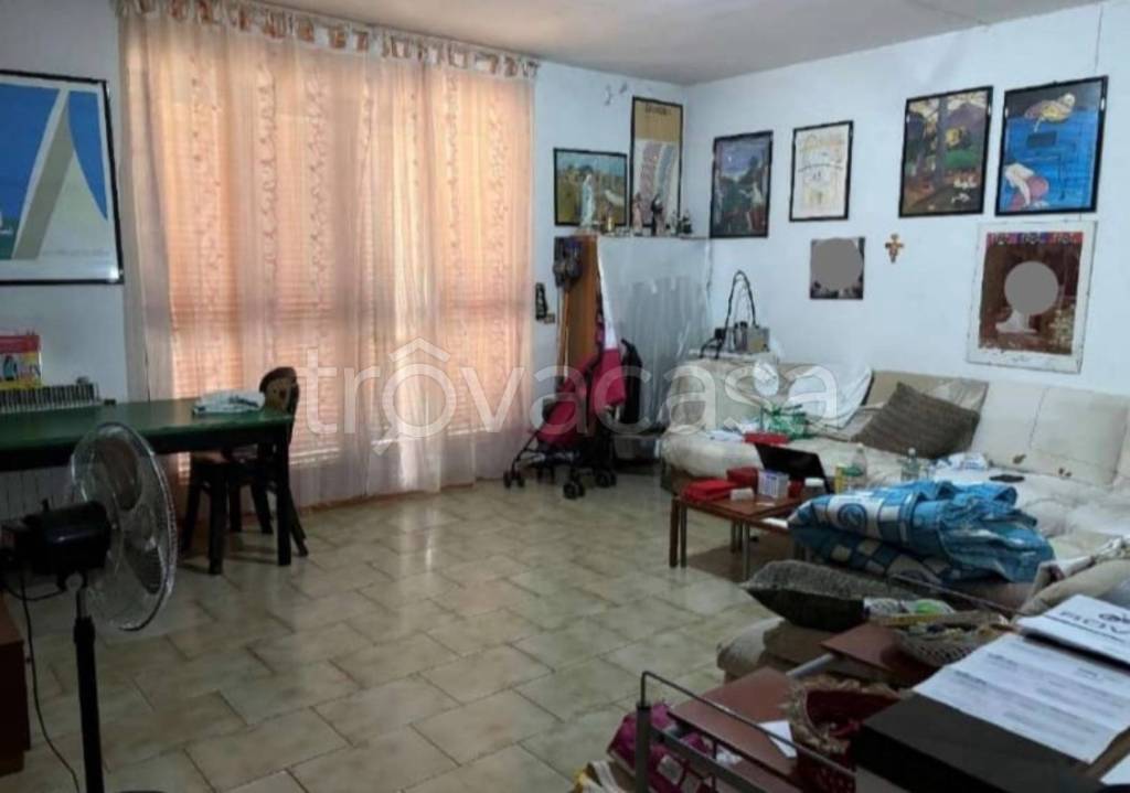 immagine annuncio 9 di 14