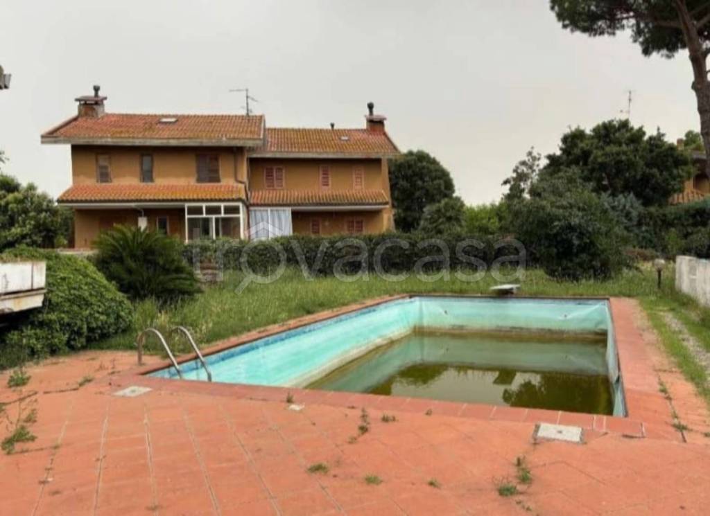 immagine annuncio 10 di 14