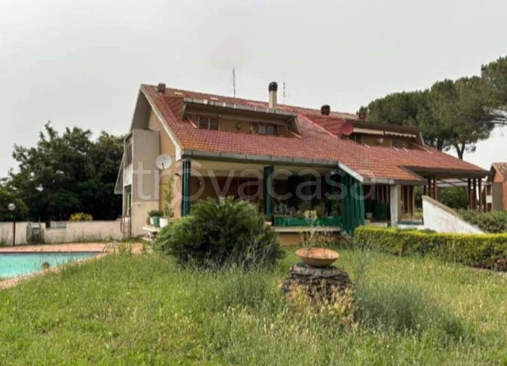 immagine annuncio 11 di 14