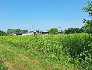 immagine annuncio 2 di 6