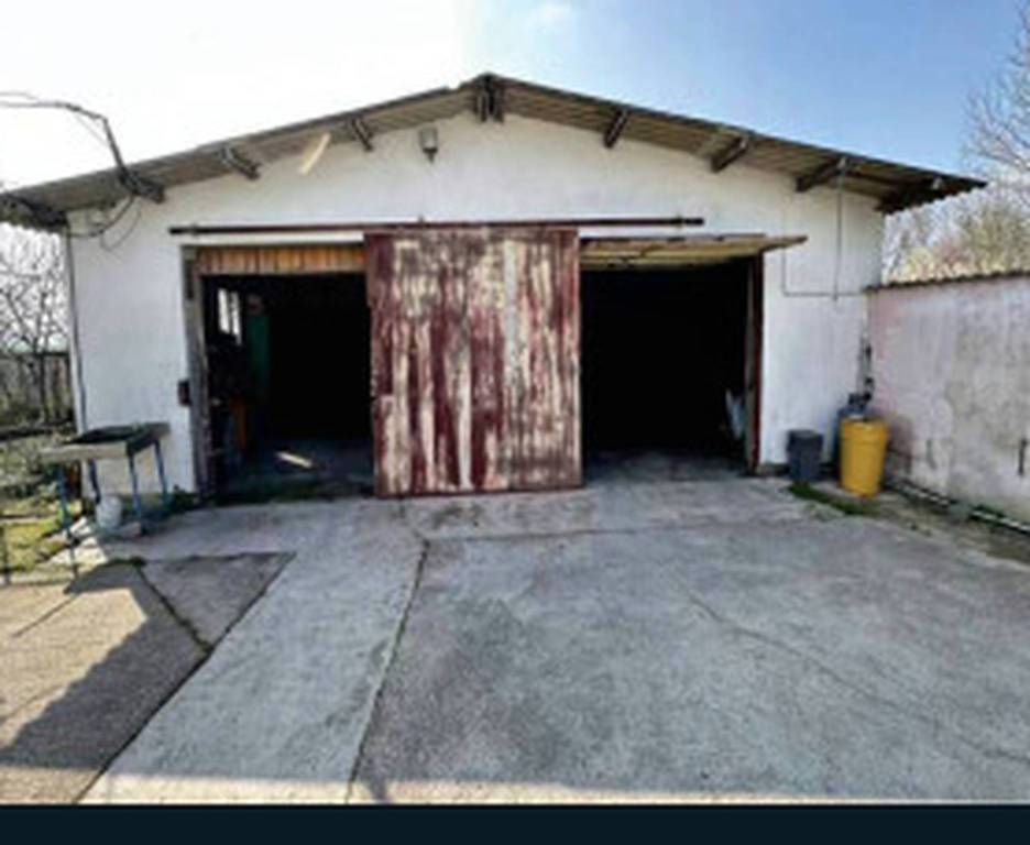 immagine annuncio 3 di 11