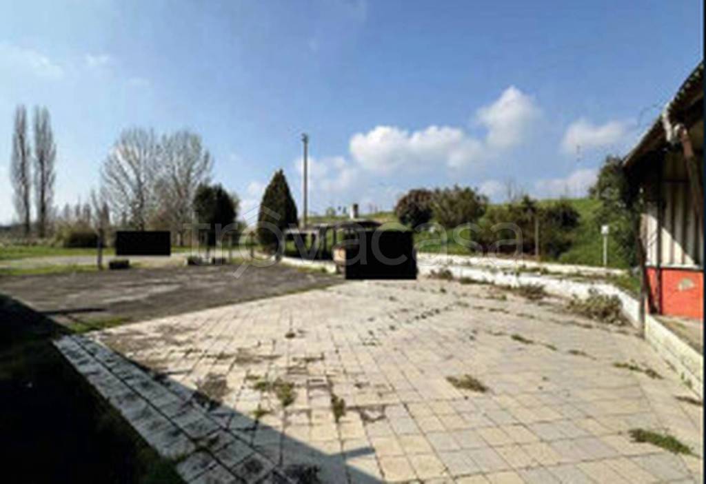 immagine annuncio 5 di 11