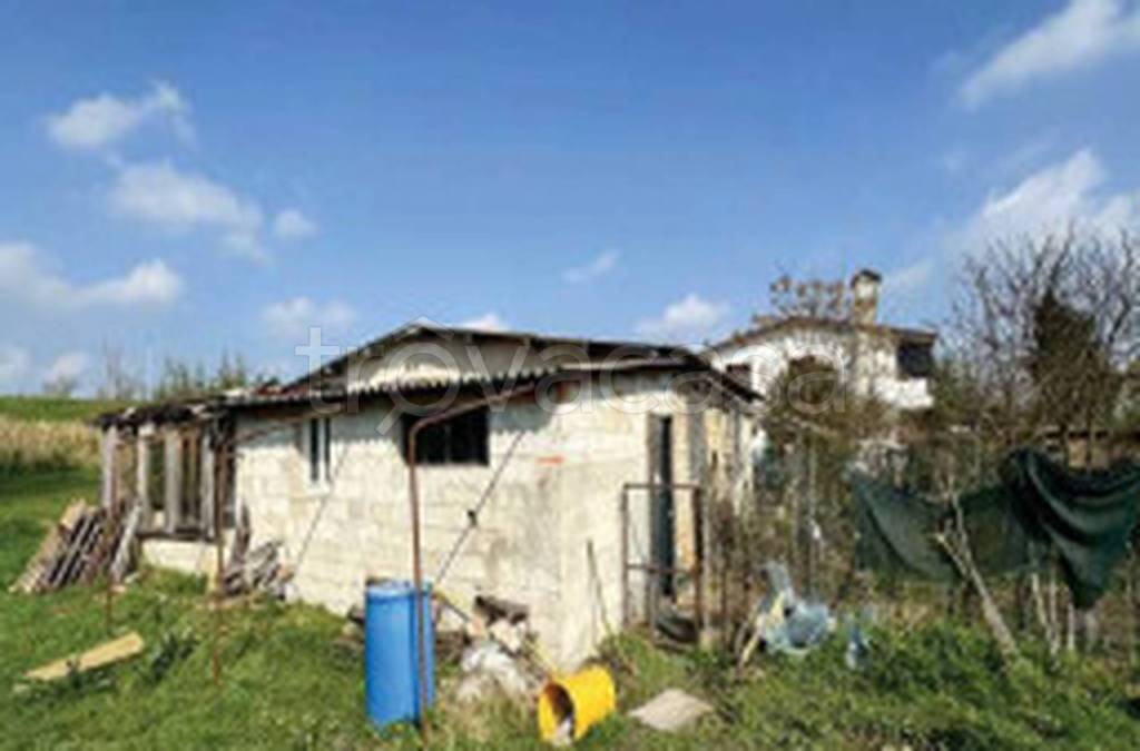 immagine annuncio 9 di 11