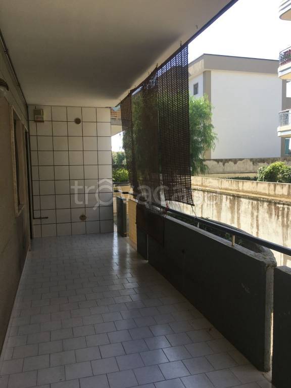 immagine annuncio 9 di 14