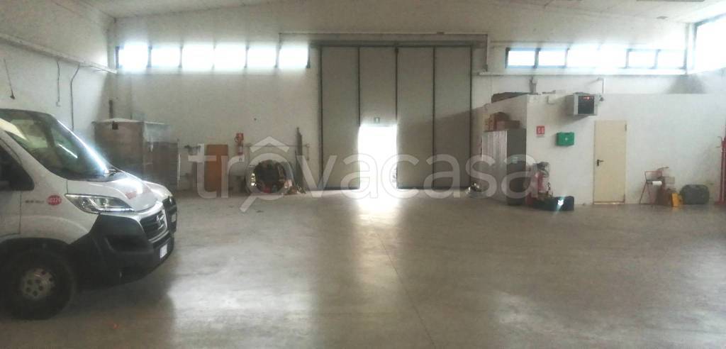 immagine annuncio 1 di 6