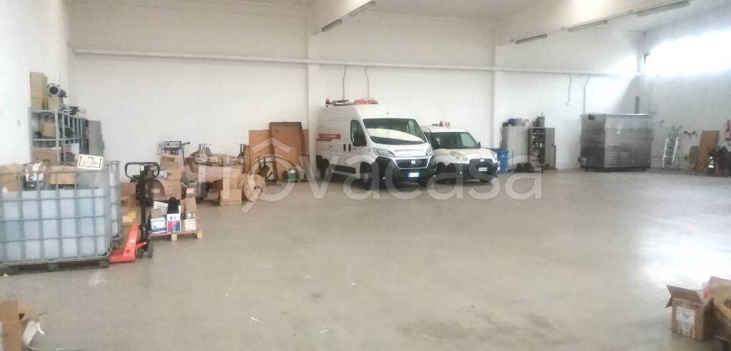 immagine annuncio 3 di 6