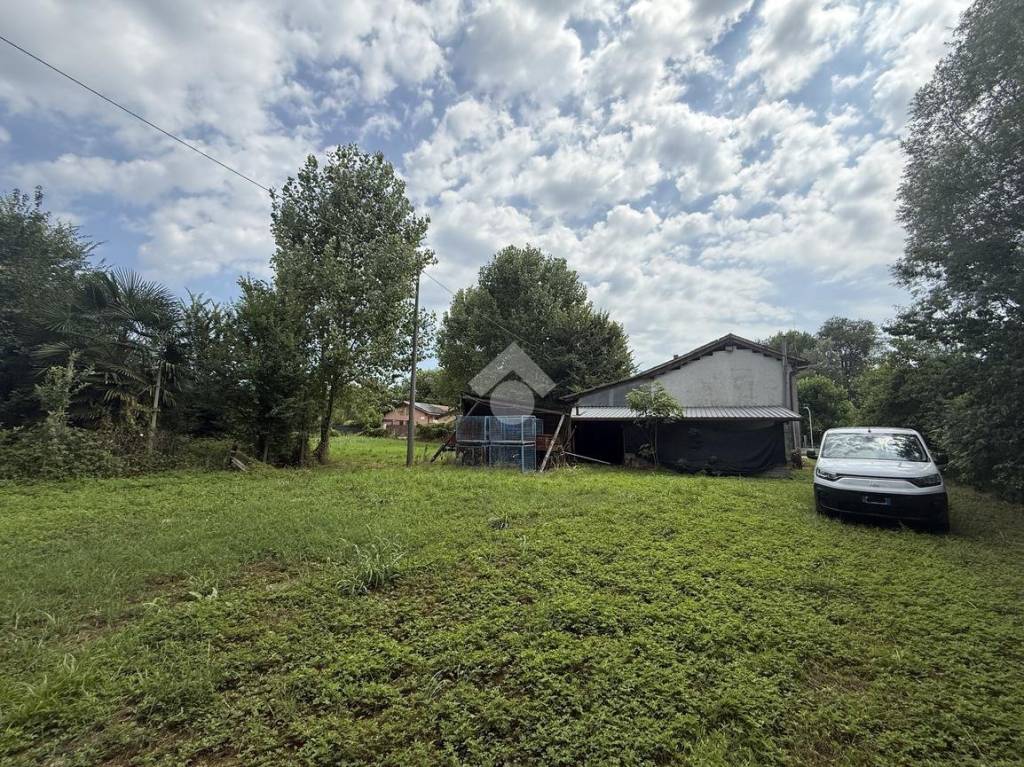 immagine annuncio 5 di 11