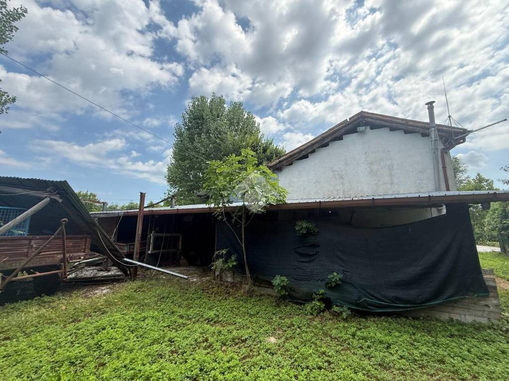 immagine annuncio 6 di 11