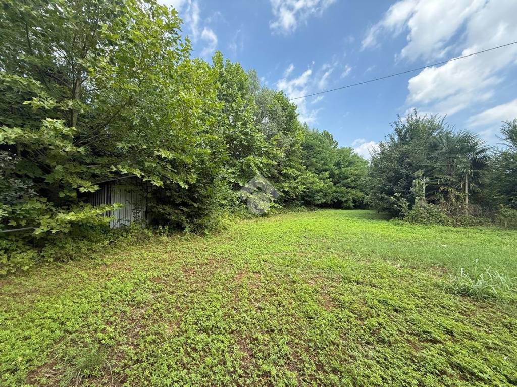 immagine annuncio 7 di 11