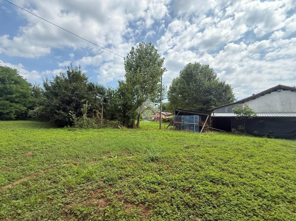 immagine annuncio 8 di 11