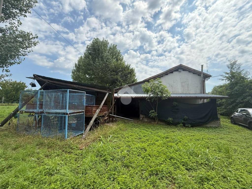 immagine annuncio 9 di 11