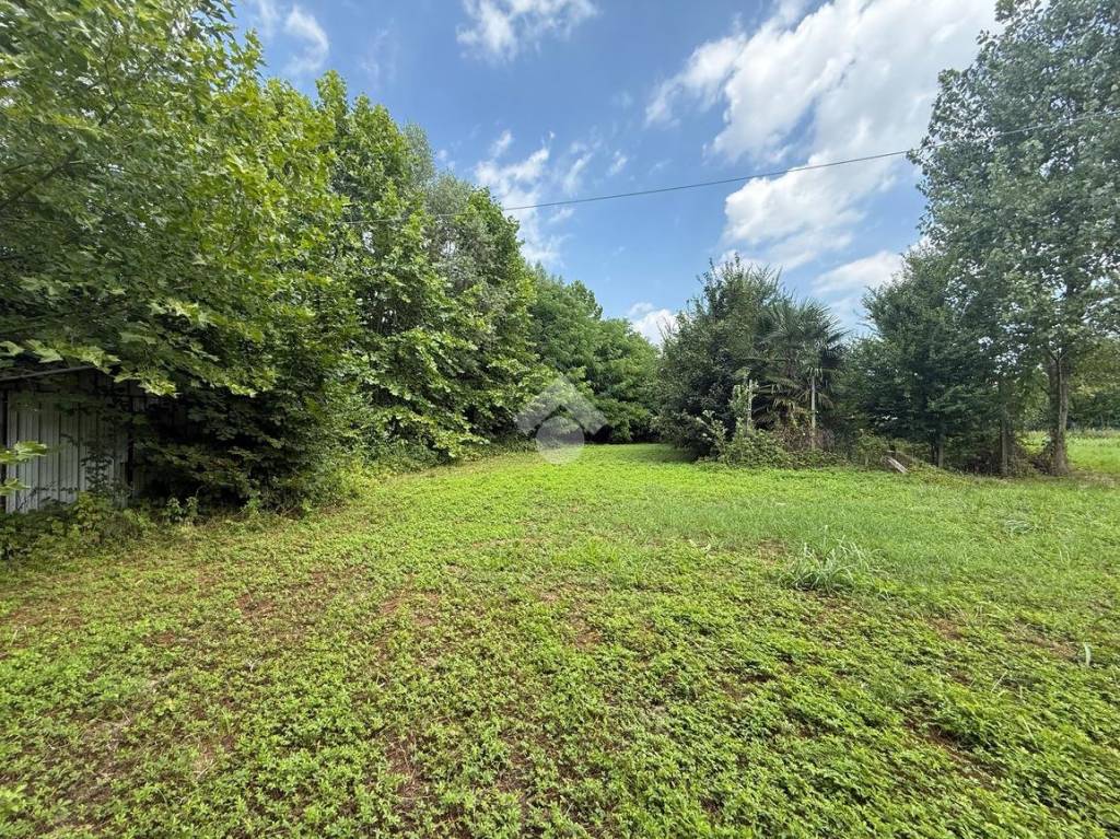 immagine annuncio 10 di 11