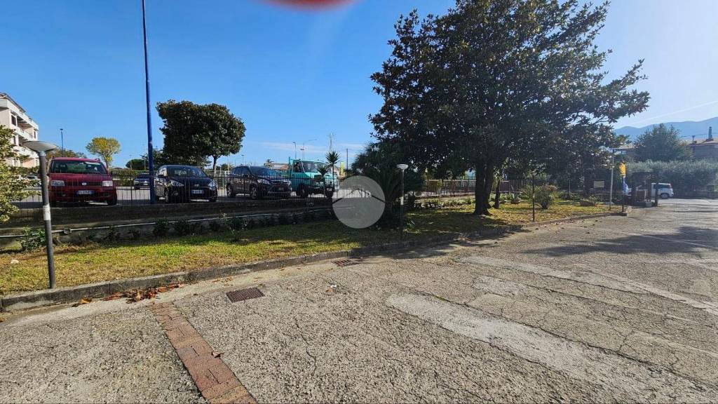 immagine annuncio 12 di 14