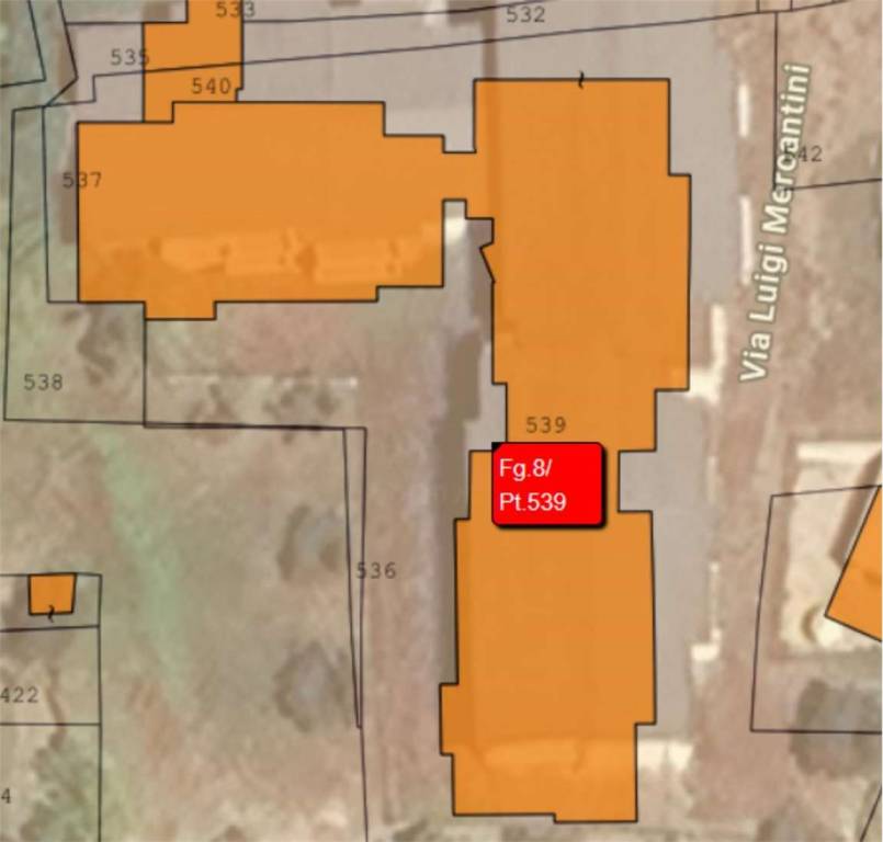 immagine annuncio 10 di 12