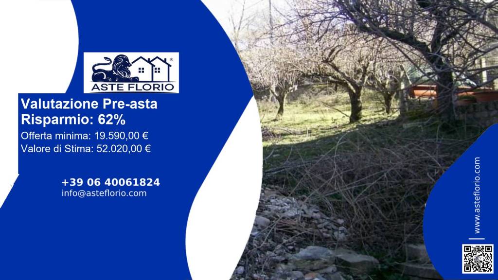 immagine annuncio 1 di 12