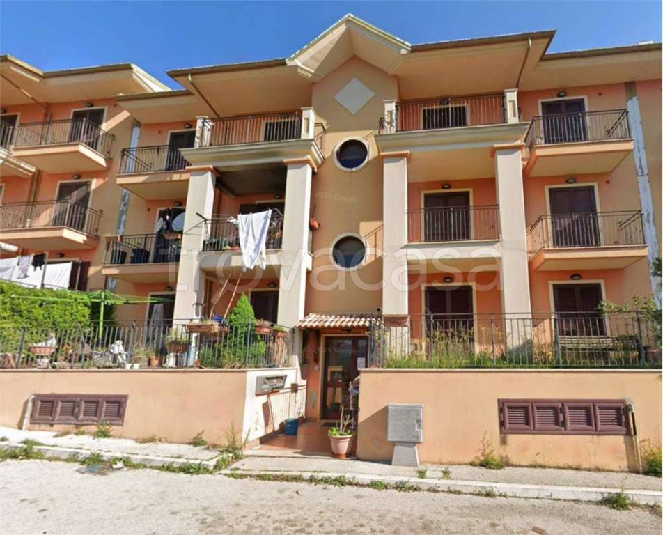 immagine annuncio 12 di 15