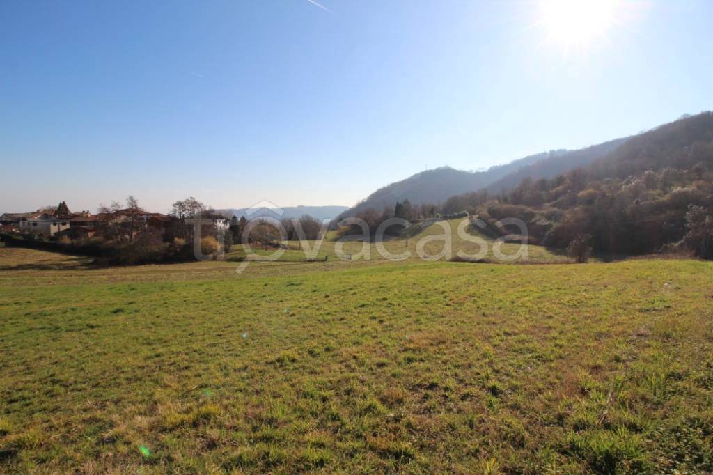 immagine annuncio 2 di 8