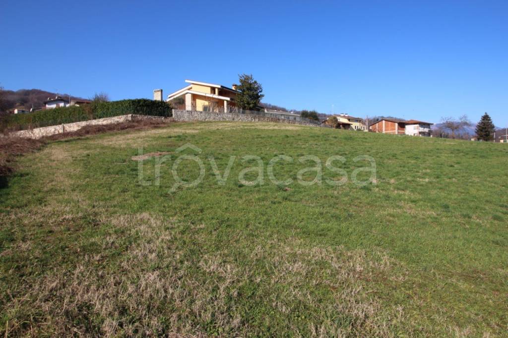 immagine annuncio 7 di 8