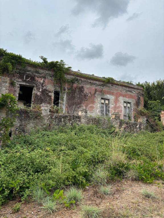 immagine annuncio 1 di 6