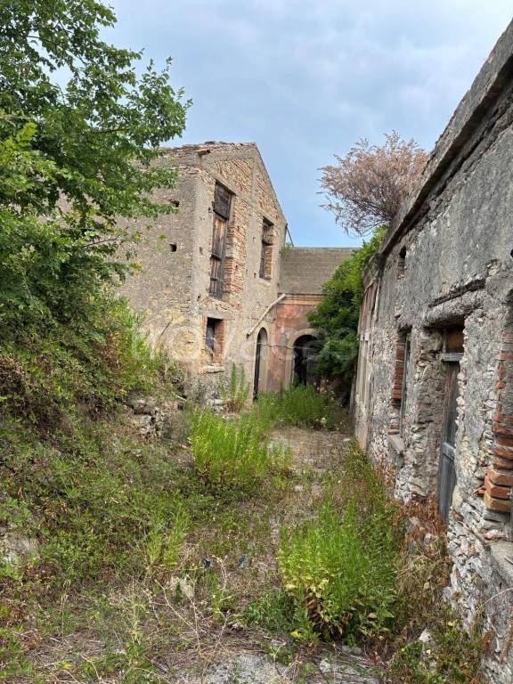 immagine annuncio 4 di 6