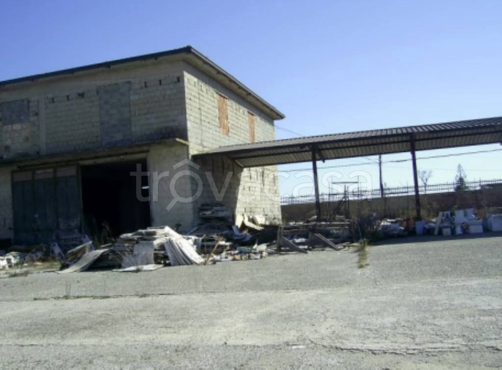 immagine annuncio 8 di 11