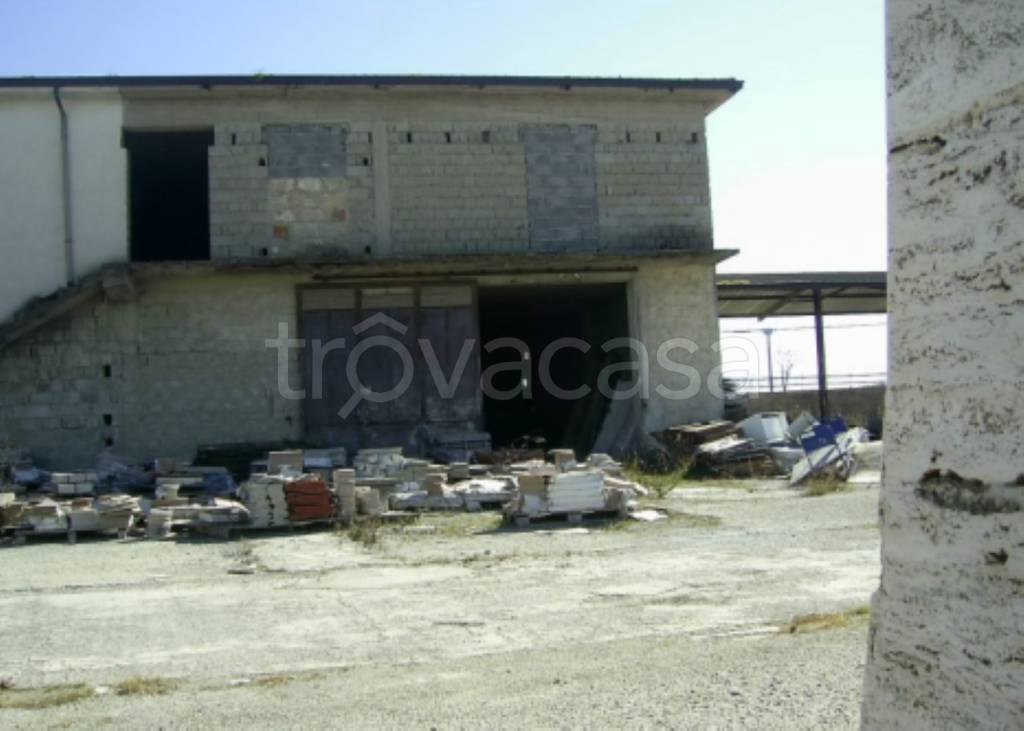 immagine annuncio 9 di 11