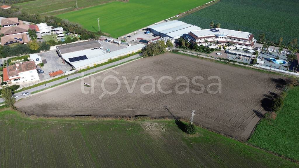 immagine annuncio 4 di 12