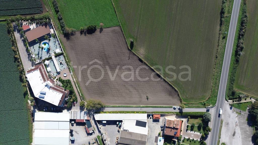 immagine annuncio 8 di 12