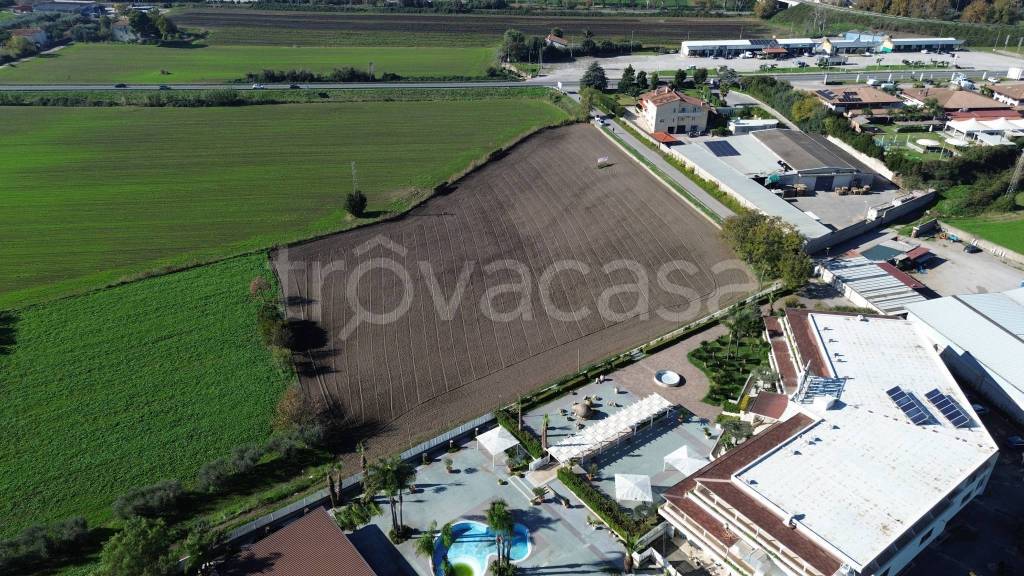 immagine annuncio 11 di 12