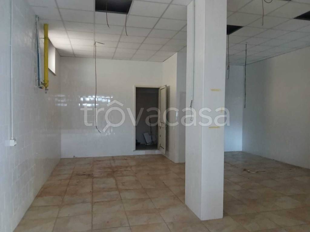 immagine annuncio 3 di 8