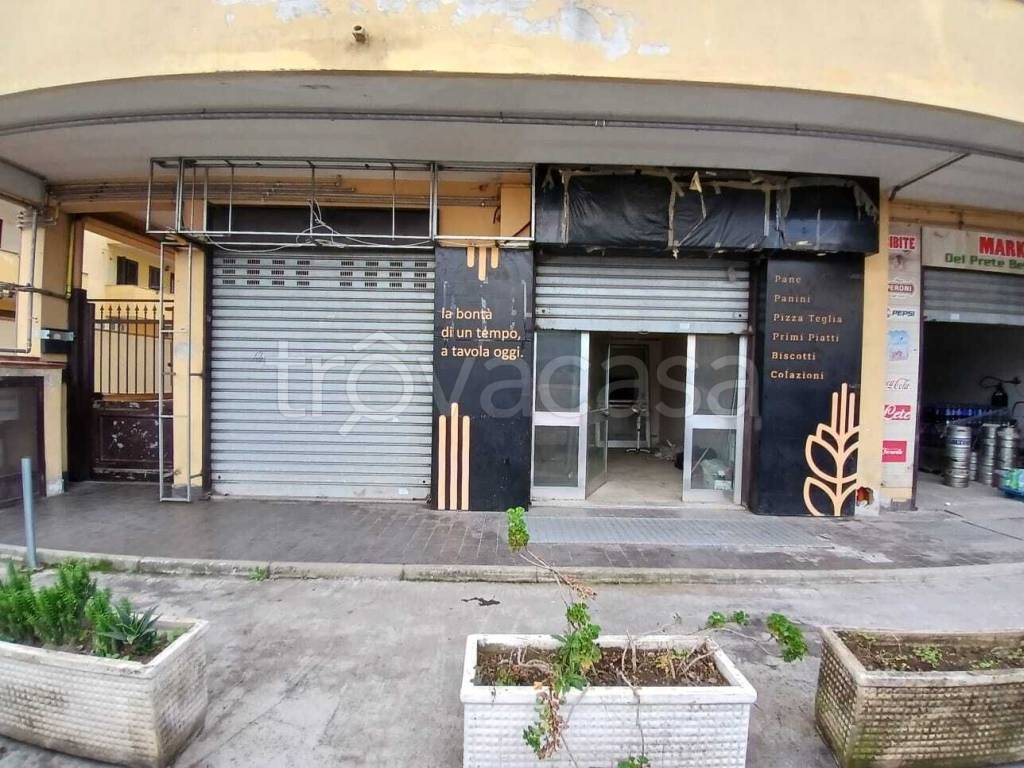 immagine annuncio 4 di 8