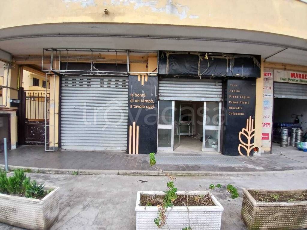 immagine annuncio 7 di 8