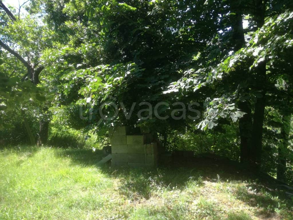 immagine annuncio 2 di 6