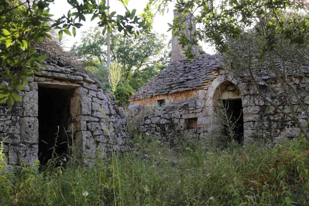 immagine annuncio 4 di 9