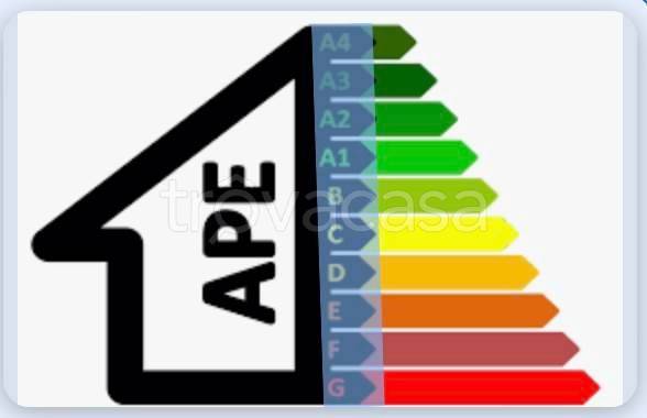 immagine annuncio 4 di 6