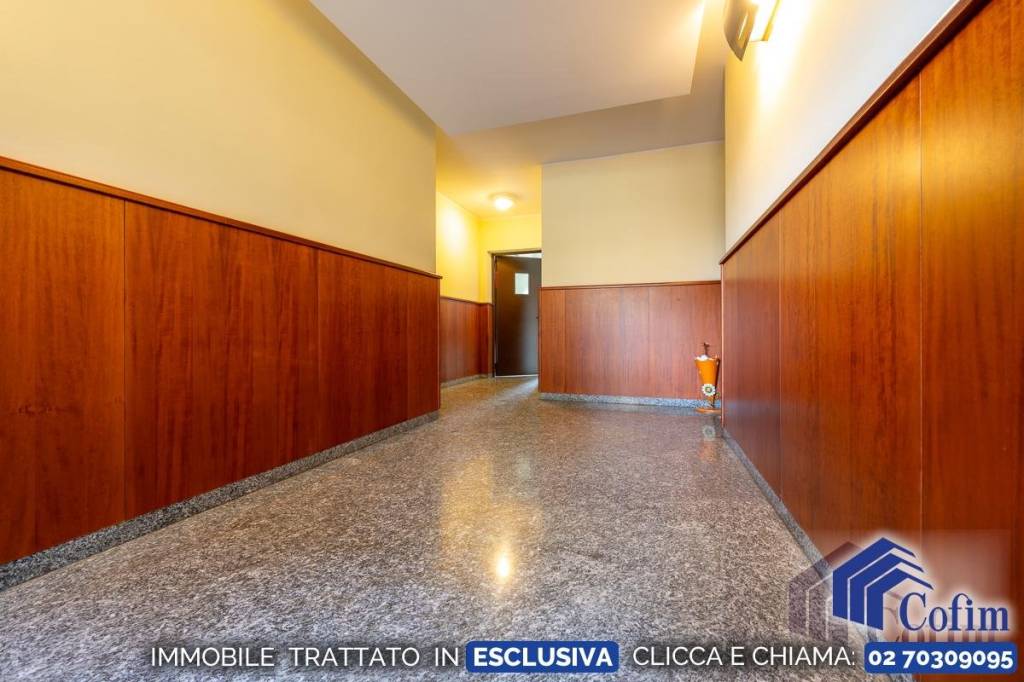 immagine annuncio 11 di 13