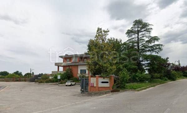 immagine annuncio 2 di 7