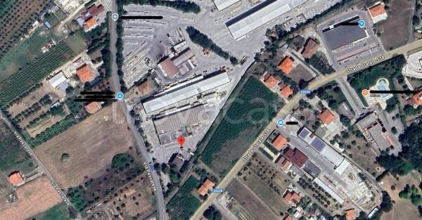 immagine annuncio 6 di 7