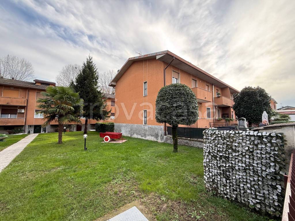 immagine annuncio 3 di 15