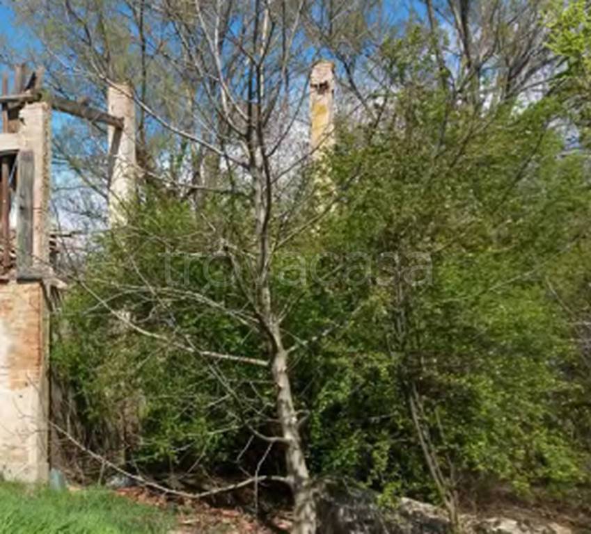 immagine annuncio 7 di 13