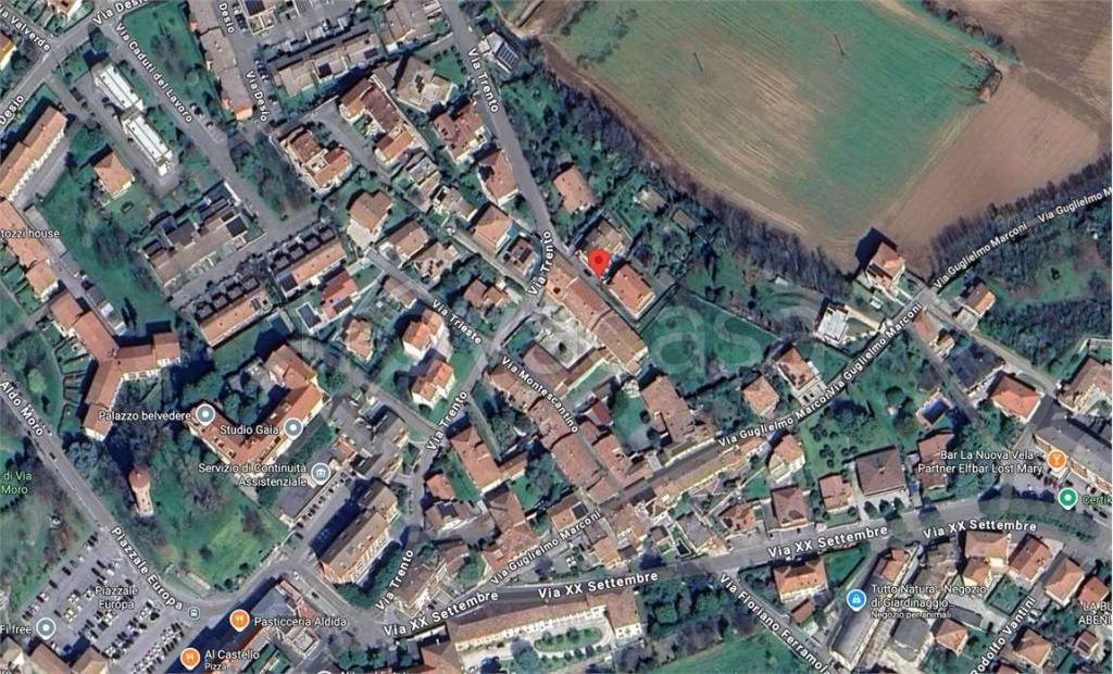 immagine annuncio 6 di 15