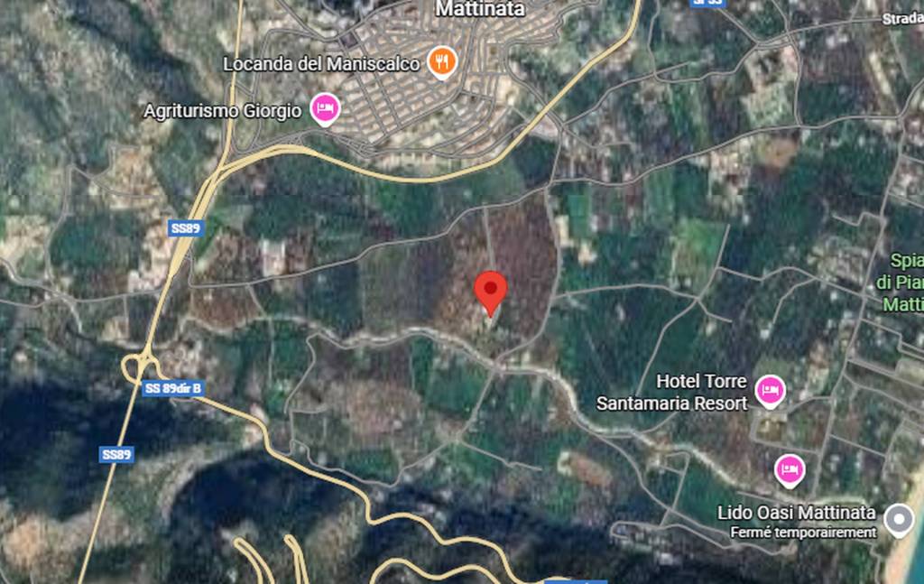 immagine annuncio 6 di 11