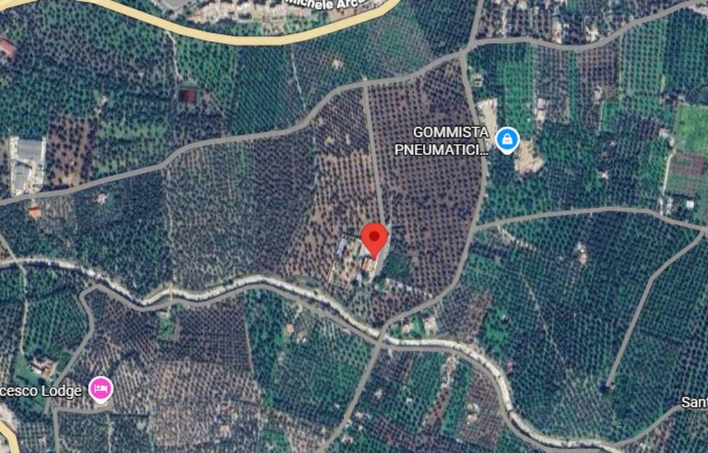 immagine annuncio 7 di 11