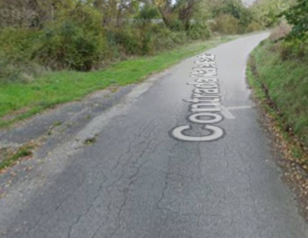 immagine annuncio 1 di 11