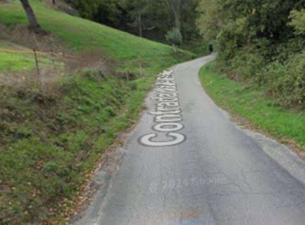 immagine annuncio 6 di 11